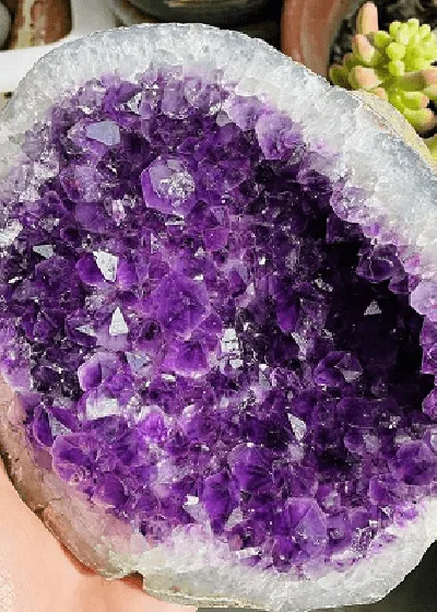 La Magia de Los Cristales 💎 20 Fotografía de una geoda natural de amatista, mostrando la magia de los Cristales y su profundo color morado y estructuras cristalinas.