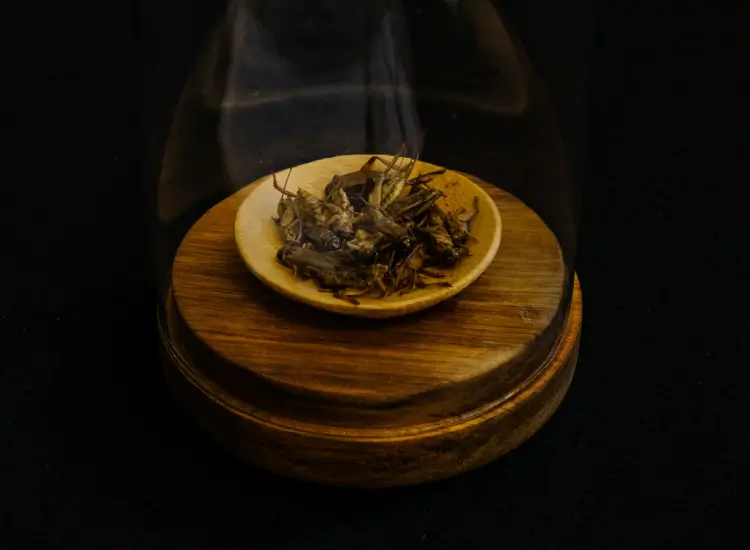 Recipiente con incienso encendido y humo saliendo en ritual Abre Caminos para el Hogar.