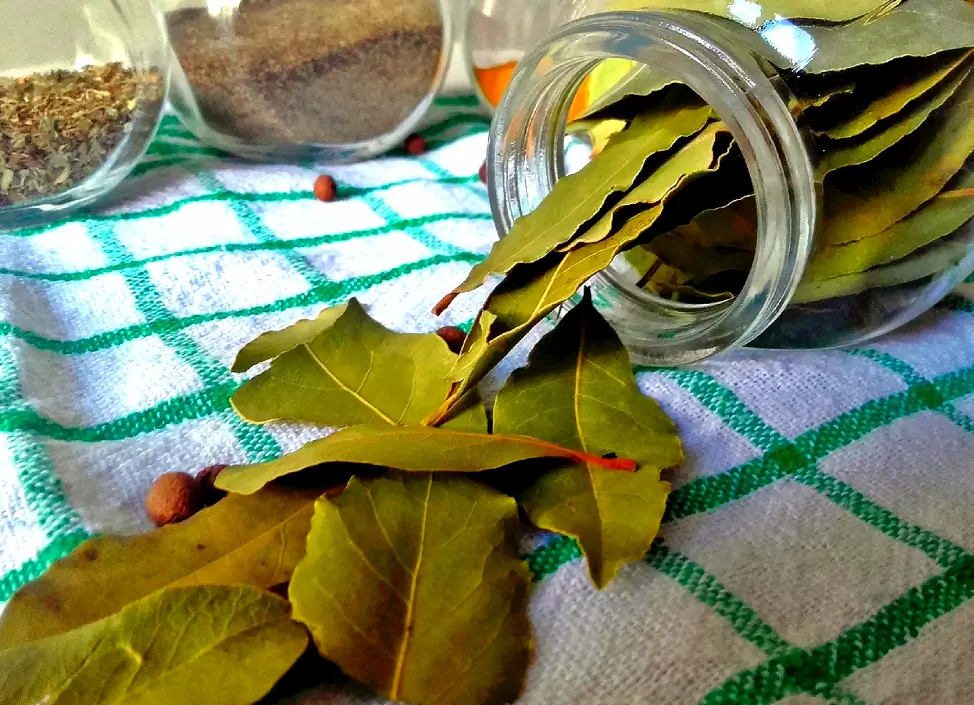 Frasco abierto con hojas de laurel sobre mantel, preparado para el Ritual de las Cenizas de Laurel.