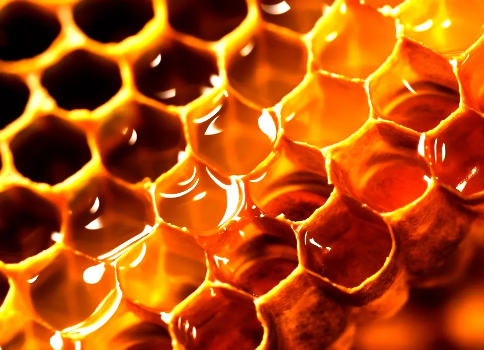 La Geometría Sagrada: Un Viaje Místico y Científico al Corazón del Universo ✨🌀 2 Primer plano de panal con miel mostrando celdas hexagonales de geometría sagrada.