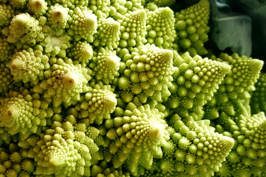 La Geometría Sagrada: Un Viaje Místico y Científico al Corazón del Universo ✨🌀 10 Ramo de flores verdes y blancas mostrando armonía natural y geometría sagrada en sus formas.