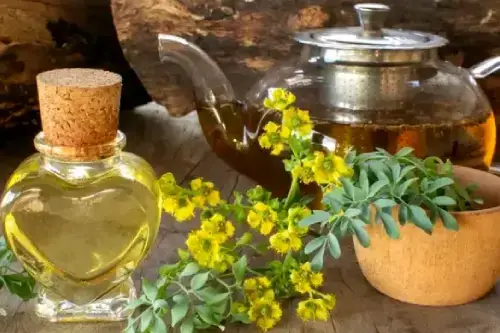 Ramita de ruda silvestre, infusión de té de ruda y frasco con esencia, destacando La Ruda: Tu Aliada Mágica 🌿