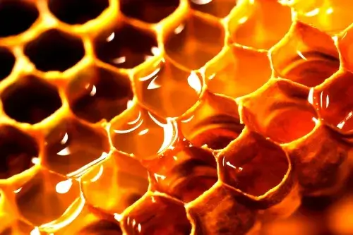 Primer plano de panal con miel mostrando celdas hexagonales de geometría sagrada.